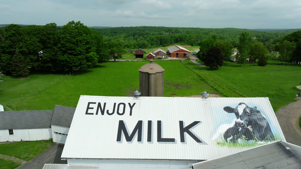 Featured image for “The Farmer’s Cow Calfé Reopens in Mansfield to Overwhelming Community Support and Excitement”