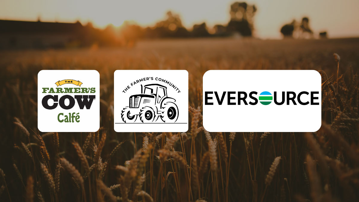 Featured image for “Eversource Partners with FC Development Corp. and The Farmer’s Cow Calfé on 2nd Annual Harvest Festival, Celebrating Community and Local Agriculture”
